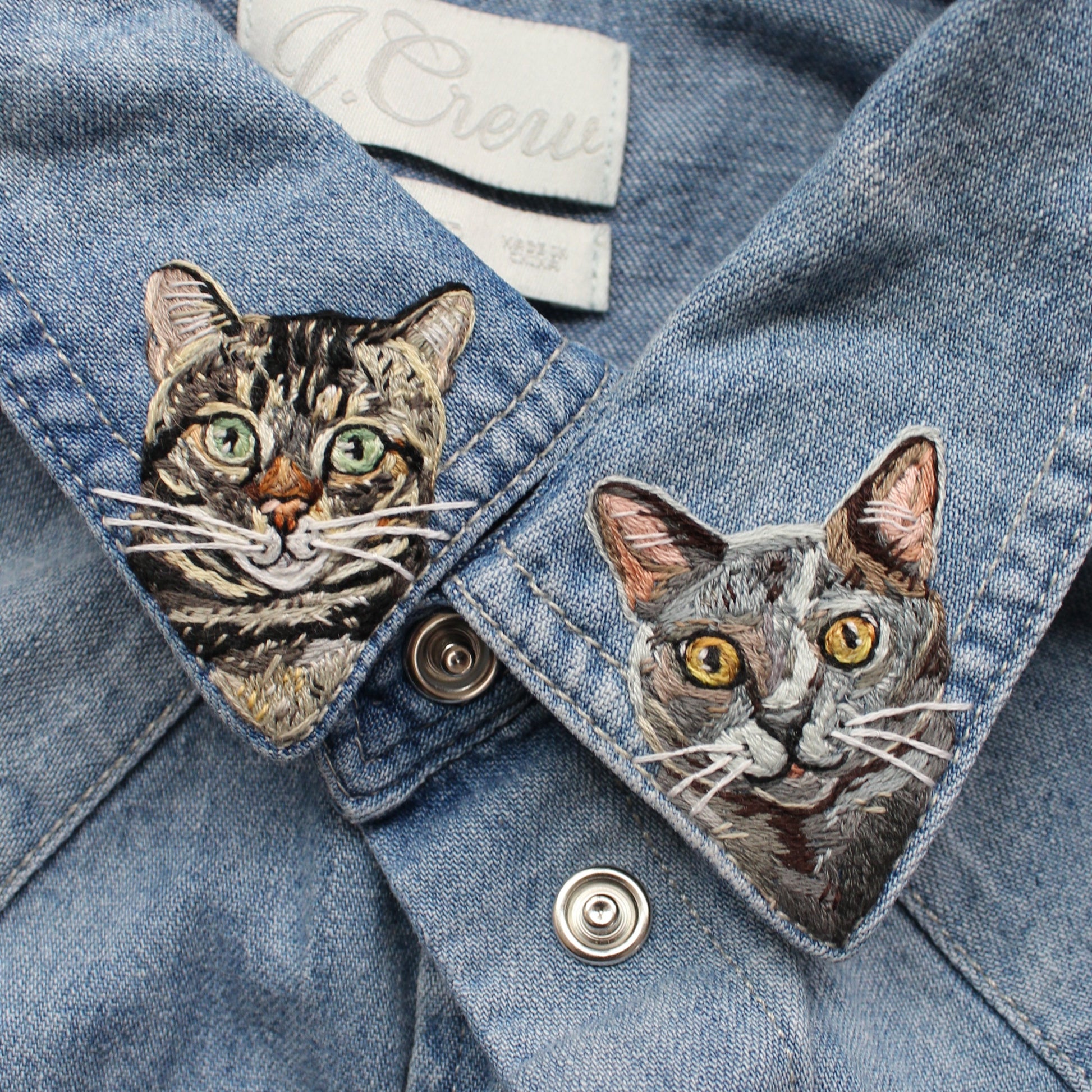 Two cats on a shirt collar