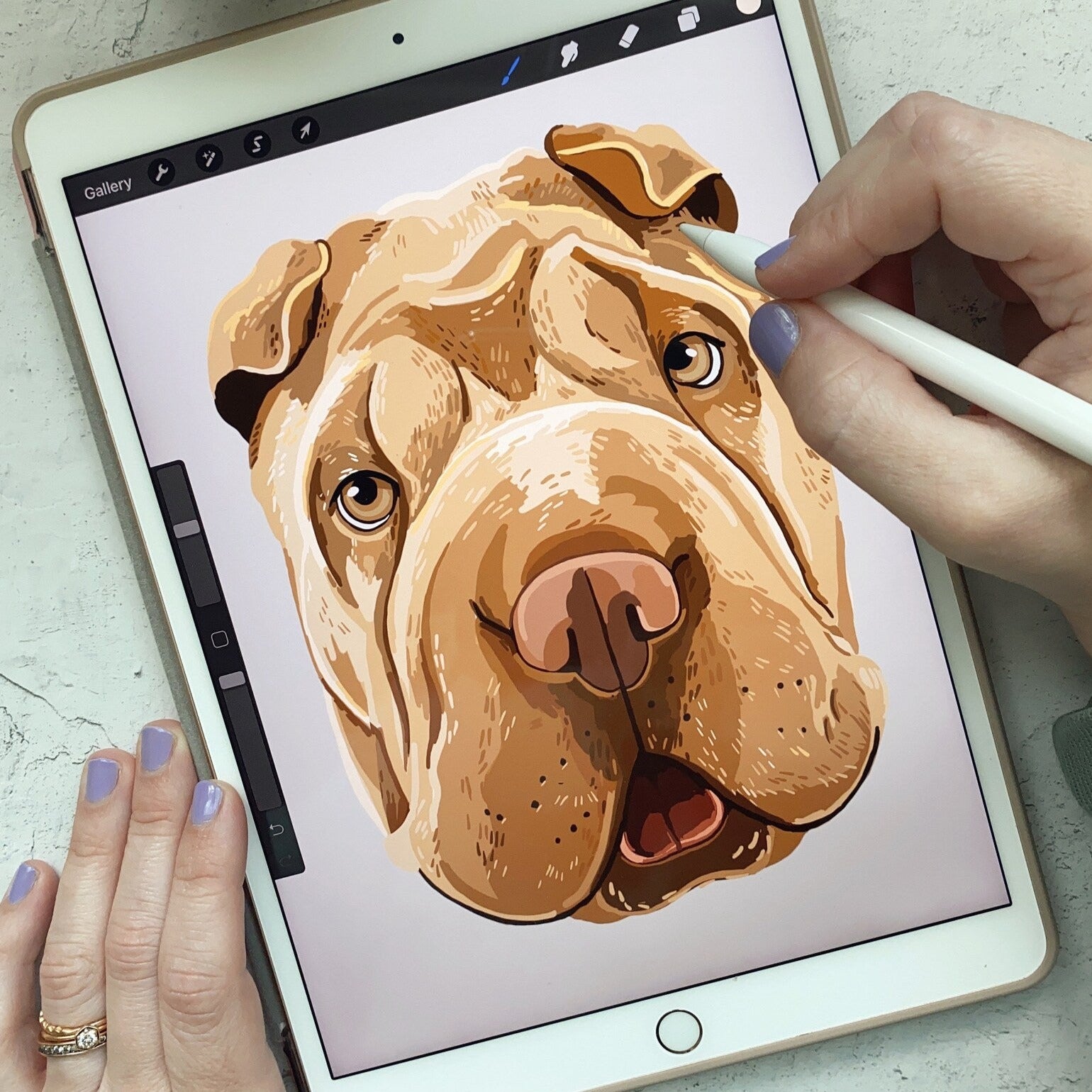 Drawing a pet portrait on an ipad